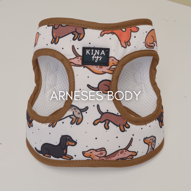 ARNÉS BODY
