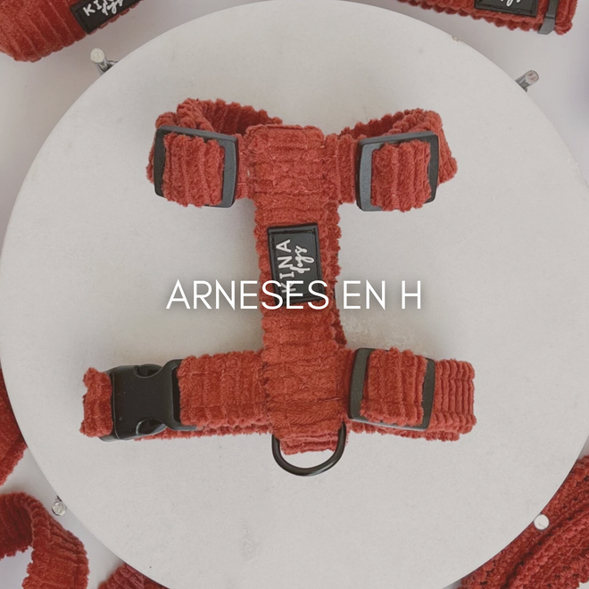 ARNÉS EN H