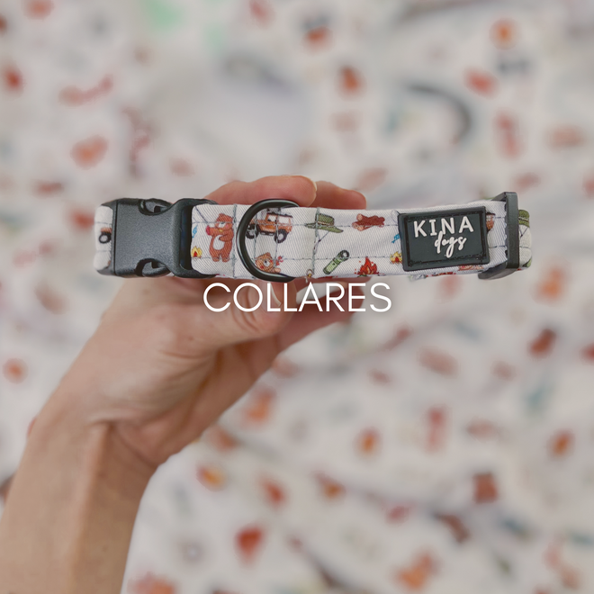 COLLARES
