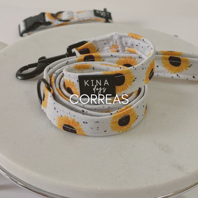 CORREAS