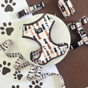 MORE DOGS - KINADOGS