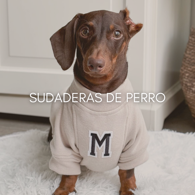Ropa para perros