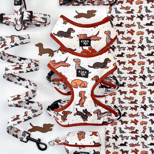 TECKELS - KINADOGS