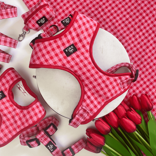 VICHY ROSA