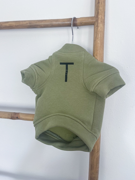 Sudadera para Perro - Pistacho