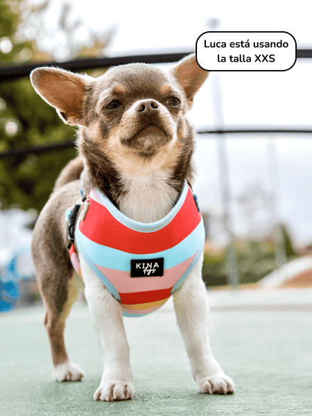 Arnés Ajustable - Ara - KINADOGS
