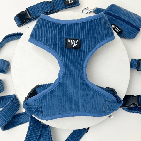 Arnés Ajustable - Basic Pana Azul - KINADOGS