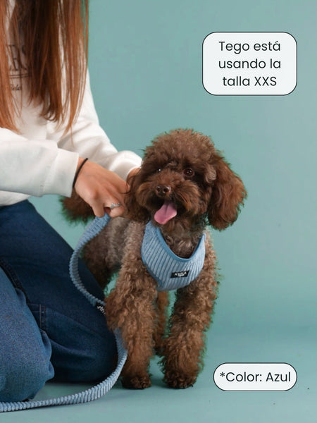 Arnés Ajustable - Basic Pana Buganvilla - KINADOGS