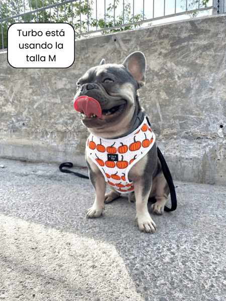 Arnés ajustable - Calabazas - KINADOGS