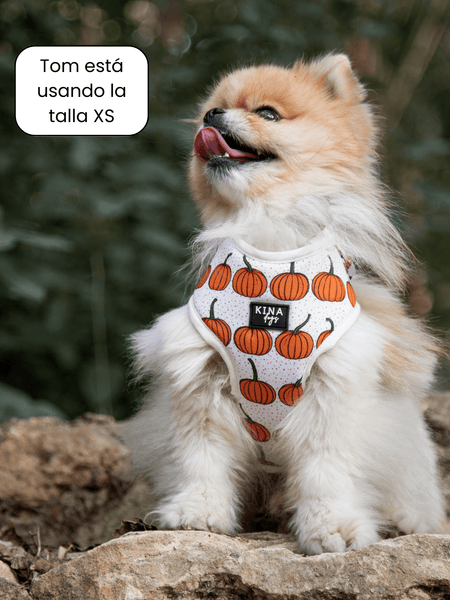 Arnés ajustable - Calabazas - KINADOGS