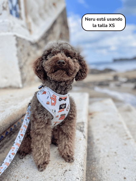 Arnés Ajustable - Camping - KINADOGS