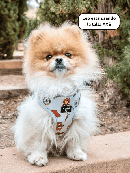 Arnés Ajustable - Camping - KINADOGS