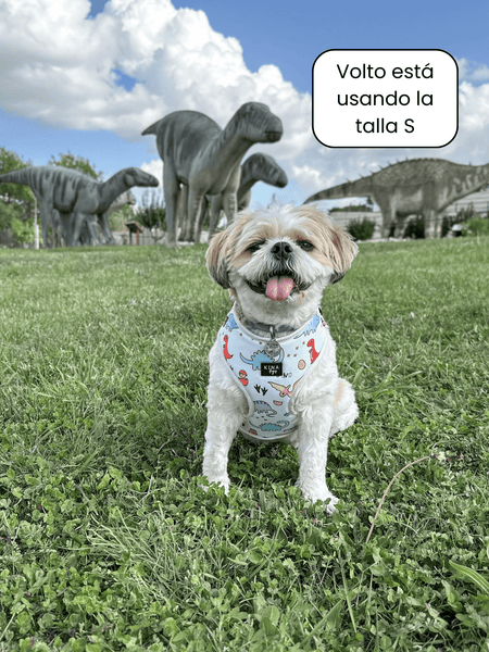 Arnés ajustable - Dino - KINADOGS