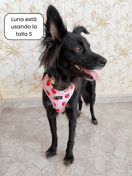 Arnés ajustable - Fresas - KINADOGS