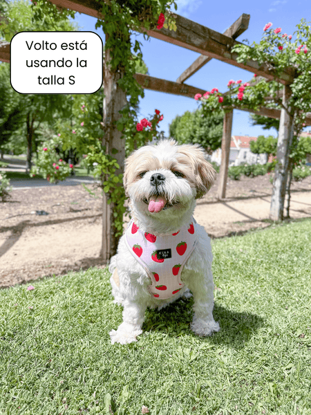 Arnés ajustable - Fresas - KINADOGS