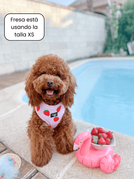 Arnés ajustable - Fresas - KINADOGS