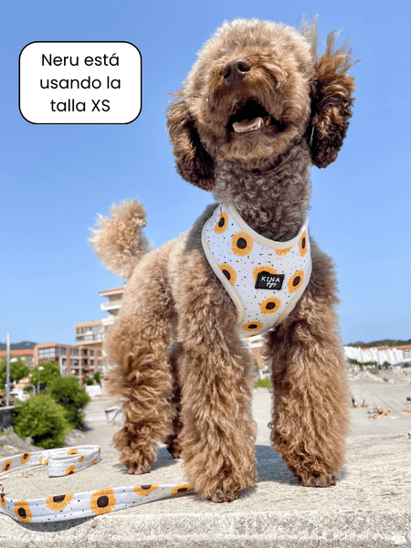 Arnés ajustable - Girasoles - KINADOGS