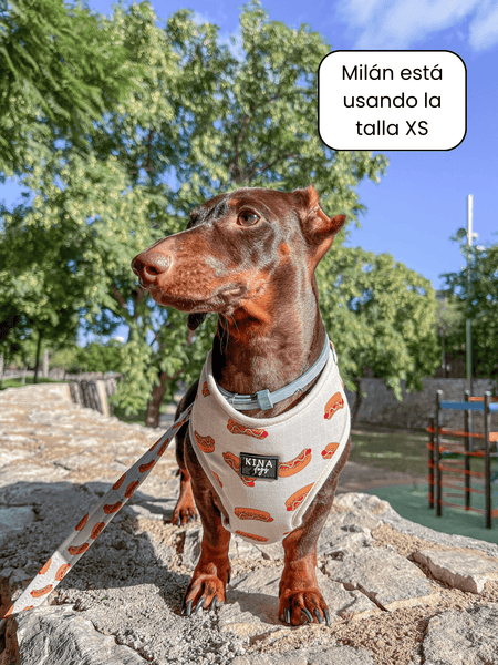 Arnés ajustable - Hot Dog - KINADOGS