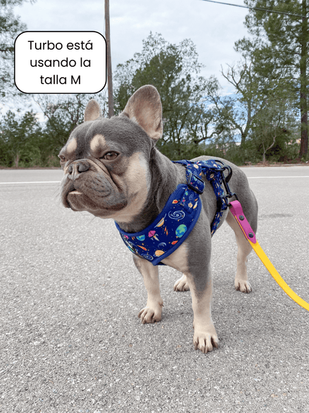 Arnés ajustable - Planet Explorer - KINADOGS