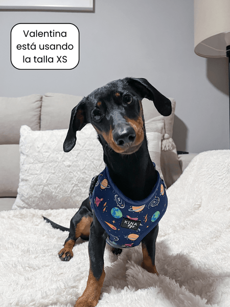 Arnés ajustable - Planet Explorer - KINADOGS