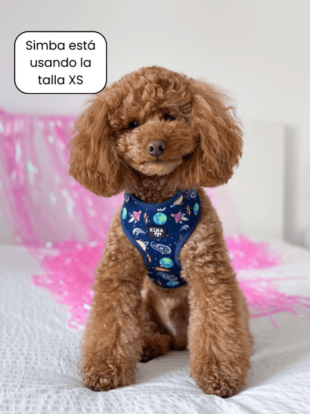 Arnés ajustable - Planet Explorer - KINADOGS