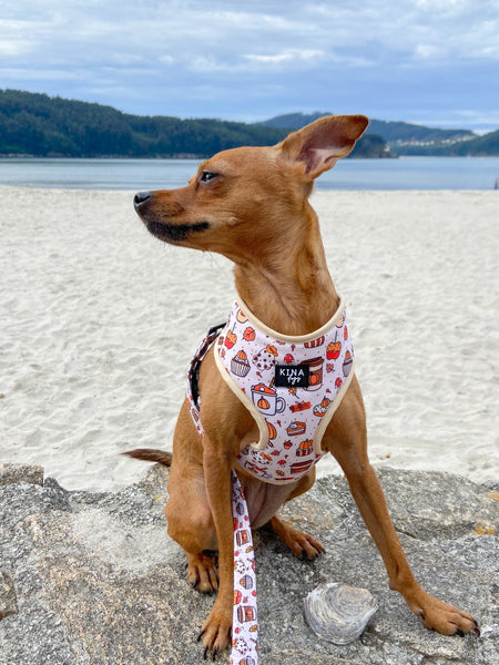 Arnés Ajustable - Pumpkin Spice - KINADOGS