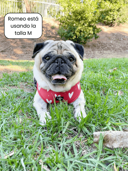 Arnés ajustable - Romeo - KINADOGS