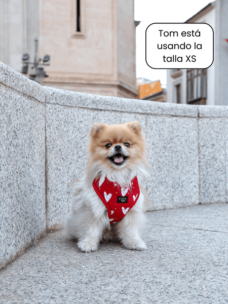 Arnés ajustable - Romeo - KINADOGS