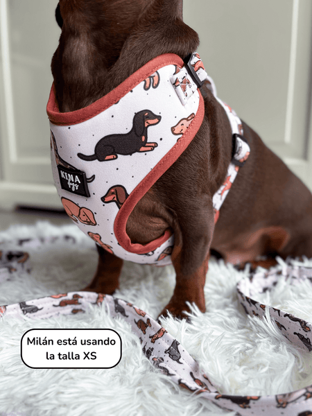 Arnés Ajustable - Teckels - KINADOGS
