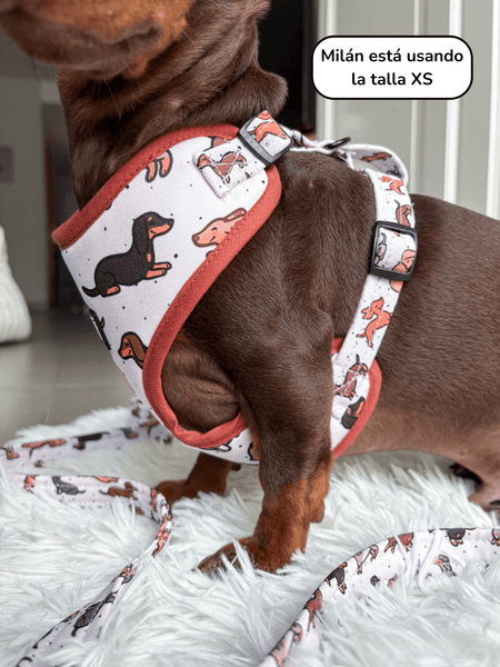 Arnés Ajustable - Teckels - KINADOGS