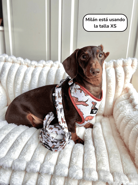 Arnés Ajustable - Teckels - KINADOGS
