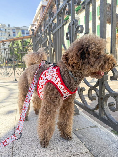 Arnés Body - Flores de Otoño - KINADOGS