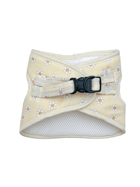 Arnés Body - Margarita Cream - KINADOGS