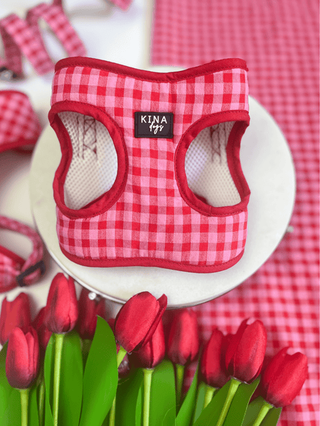 Arnés Body - Vichy Rosa - KINADOGS