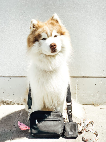 BOLSO DE PASEO - KINADOGS