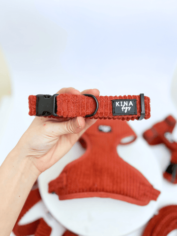 Collar - Basic Pana Teja - KINADOGS