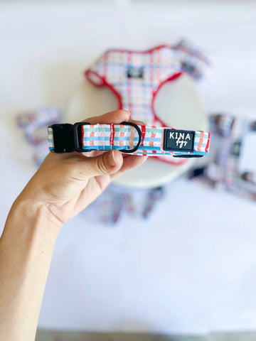 Collar - Happy Colors - KINADOGS