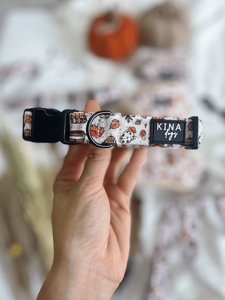 Collar - Pumpkin Spice - KINADOGS
