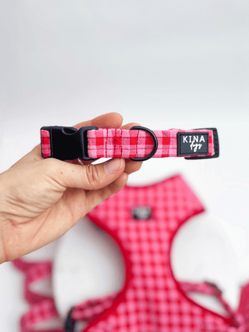 Collar - Vichy Rosa - KINADOGS