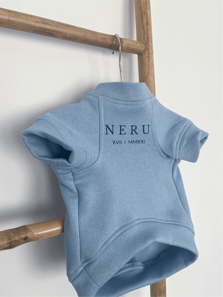 Sudadera para Perro - Celeste - KINADOGS