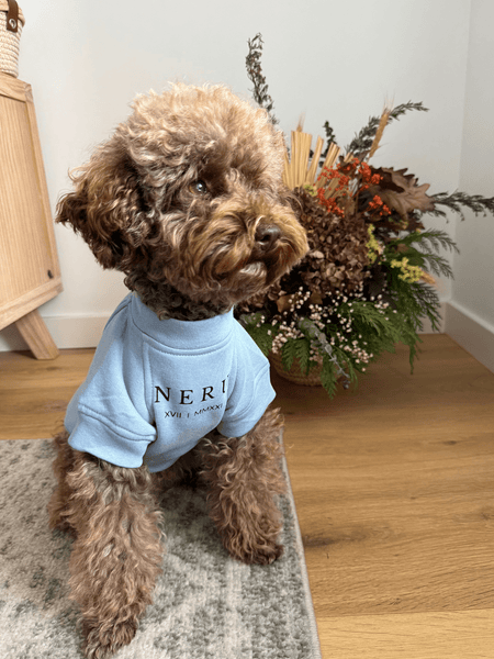 Sudadera para Perro - Celeste - KINADOGS