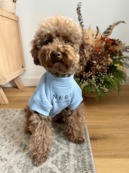 Sudadera para Perro - Celeste - KINADOGS