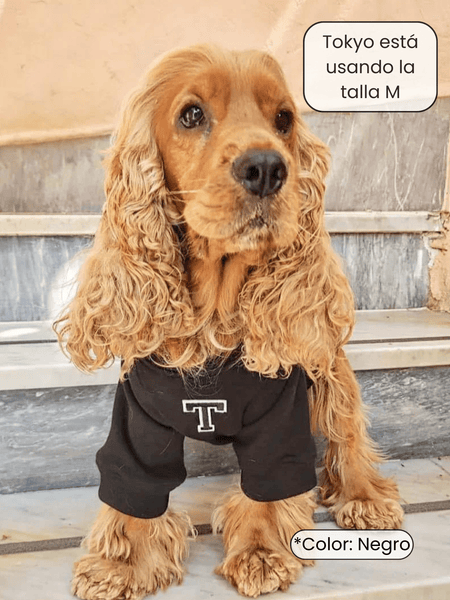 Sudadera para Perro - Gris - KINADOGS