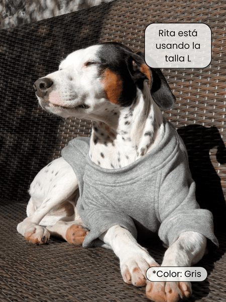 Sudadera para Perro - Gris - KINADOGS