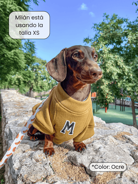 Sudadera para Perro - Gris - KINADOGS