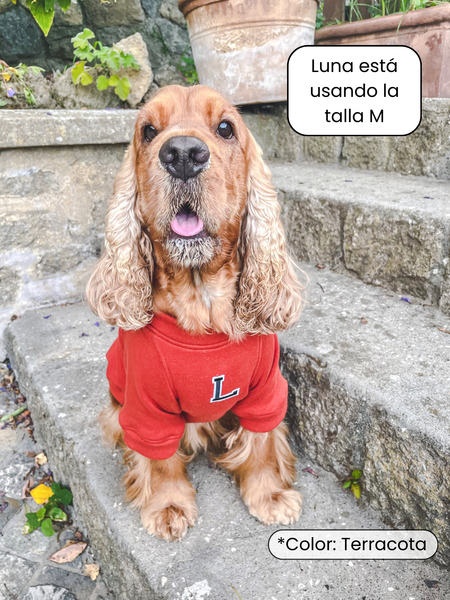 Sudadera para Perro - Gris - KINADOGS