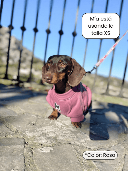 Sudadera para Perro - Gris - KINADOGS