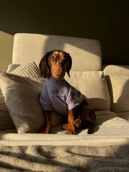 Sudadera para Perro - Lavanda - KINADOGS