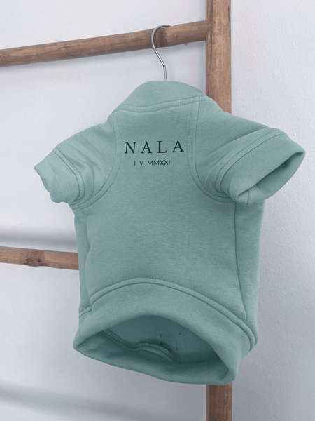 Sudadera para Perro - Menta - KINADOGS