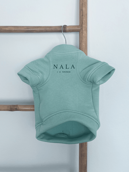 Sudadera para Perro - Menta - KINADOGS